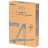 REY ADAGIO - A4 CANELA 97